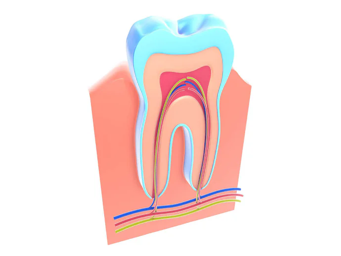Root Canal Treatment in Denver, NC at Summit Family Dentistry